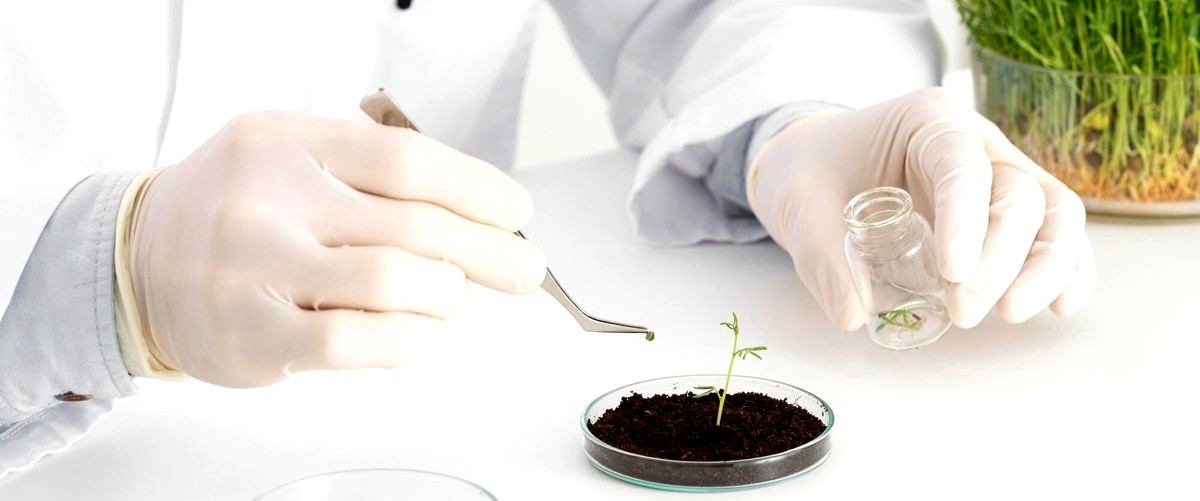 ¿Qué tipo de proyectos de biotecnología se llevan a cabo en Lorca? ¿Qué tipo de proyectos de biotecnología se llevan a cabo en Lorca?