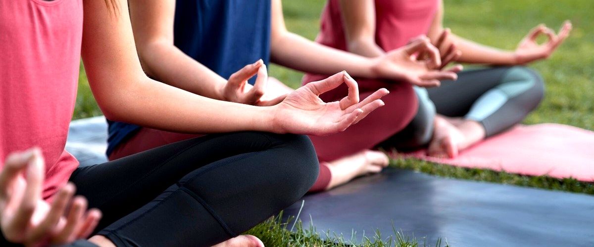 ¿Qué tipo de yoga se ofrece en los centros de Zaragoza?