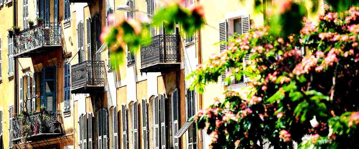 ¿Qué tipos de actividades se ofrecen en una residencia de ancianos en Lorca?