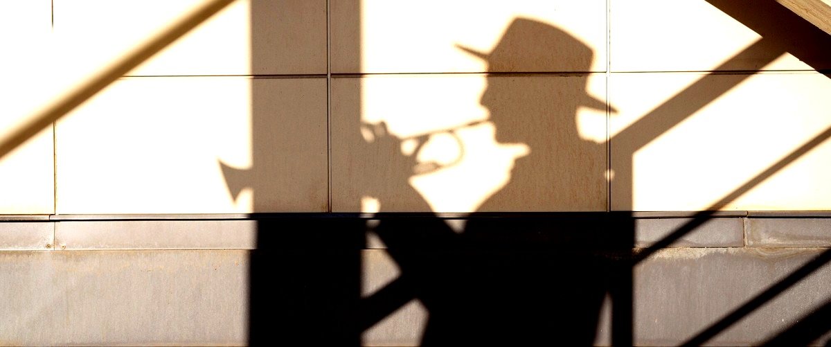 ¿Qué tipos de casos puede investigar un detective privado en San Sebastián? ¿Qué tipos de casos puede investigar un detective privado en San Sebastián?