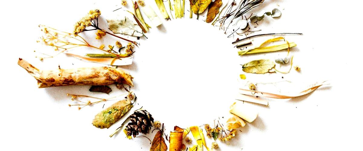 ¿Qué tipos de productos naturales se pueden encontrar en las herbolarias de Elche?