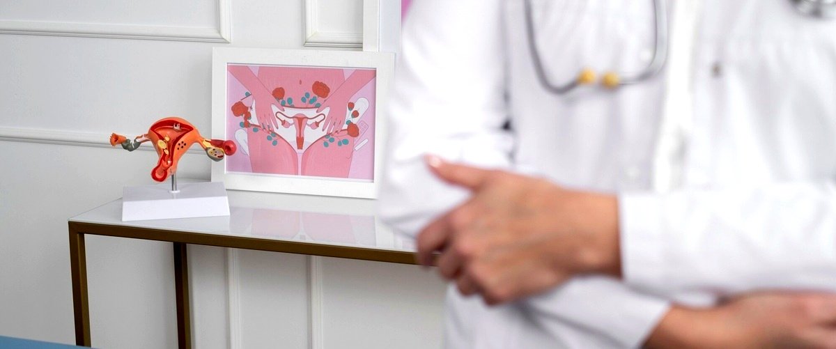 ¿Qué tipos de tratamientos de reproducción asistida se ofrecen en las clínicas de Cáceres?