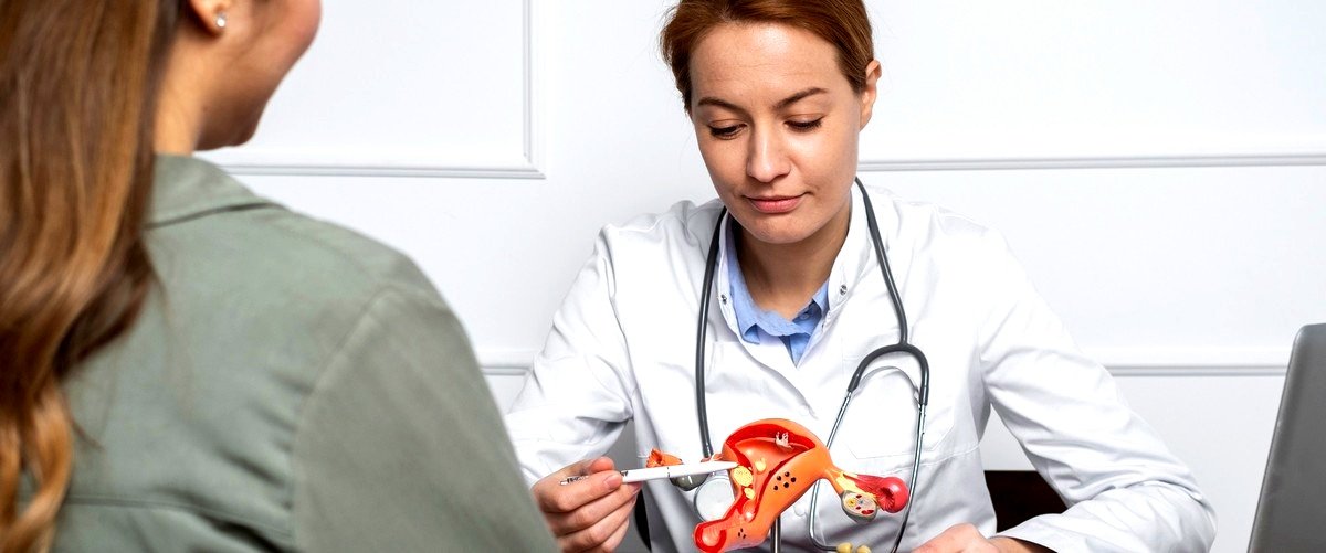 ¿Qué ven los ginecólogos durante una consulta ginecológica?