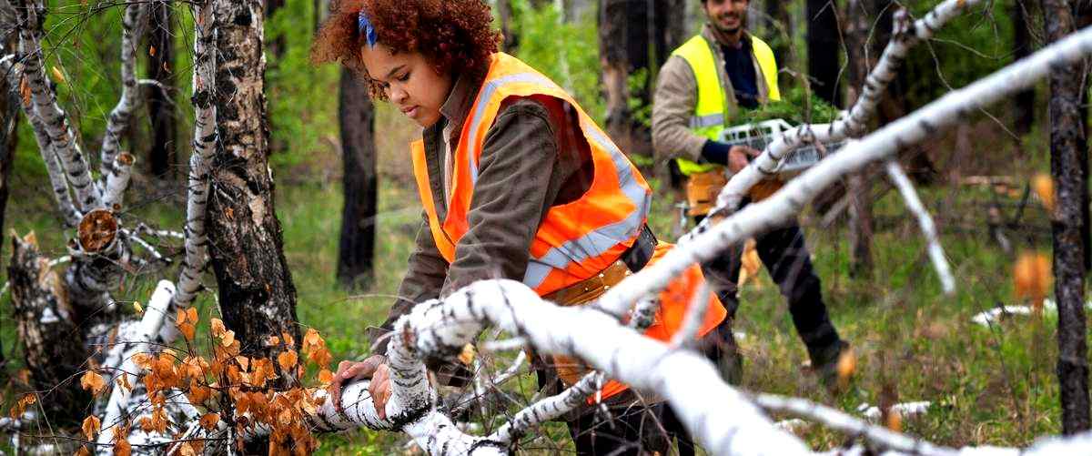 ¿Quién es responsable de la Prevención de Riesgos en las empresas en Asturias?