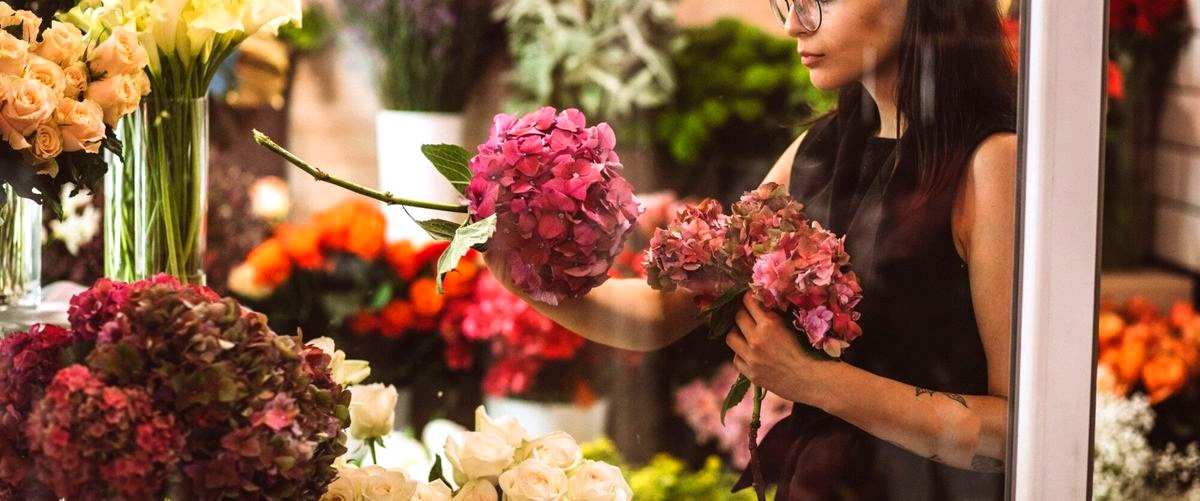 ¿Quién se encarga de hacer arreglos florales o vender flores en las floristerías de Santander (Cantabria)?