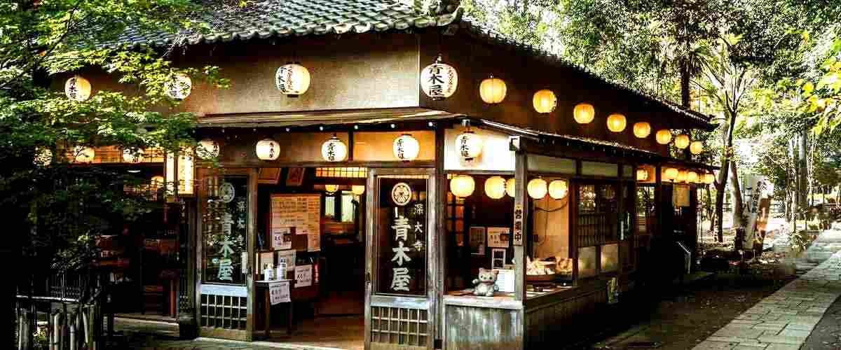 ¿Se puede pedir comida para llevar en los restaurantes japoneses en Oviedo?
