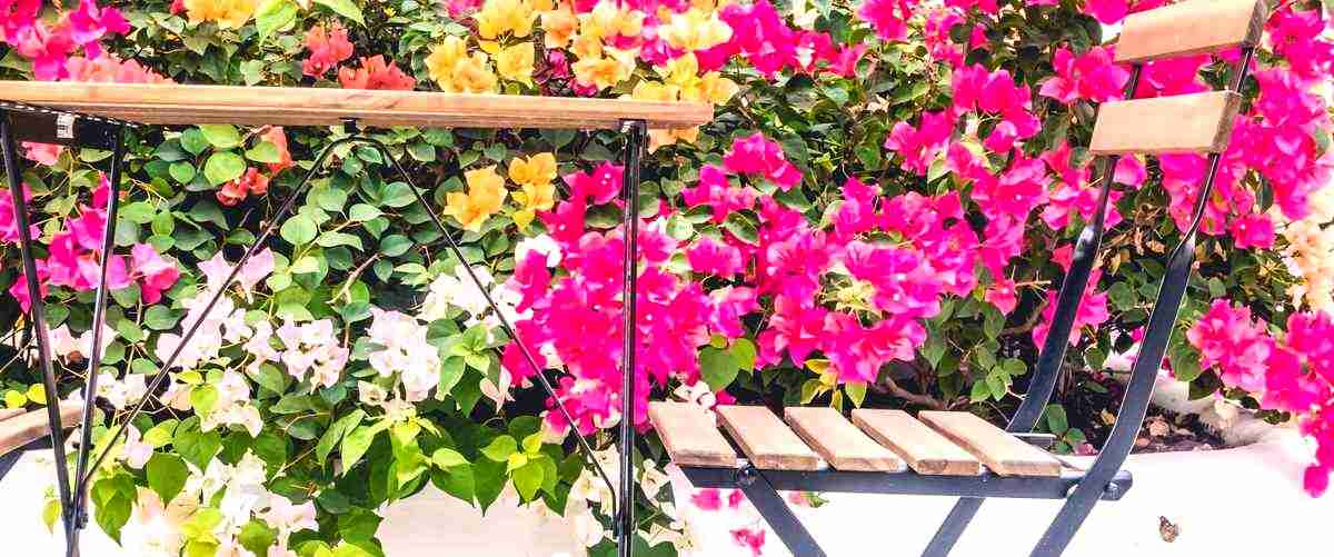 ¿Se pueden hacer pedidos de flores en línea en las floristerías de San Cristóbal de La Laguna?